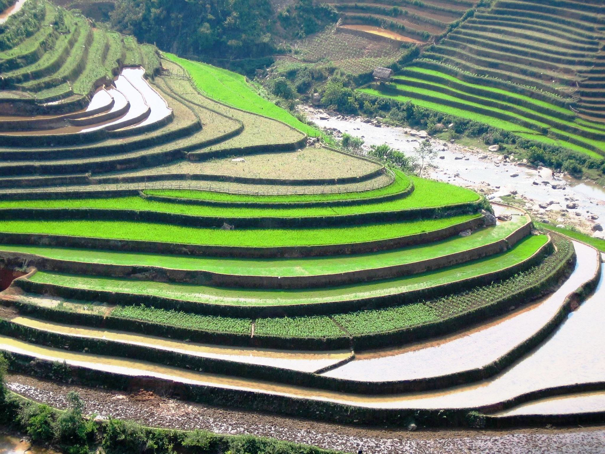 Mùa vàng nơi rẻo cao