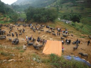Riding Motorbikes in Vietnam — photo 9